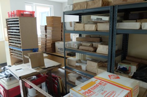 Gipsstempel / Michael Mantl-Mussak