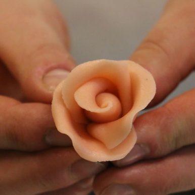 Sachertorte / Marzipanrose / BackenMitDir.at