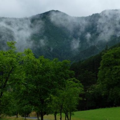 Everl_8 / Backfreude / Michael Mantl-Mussak